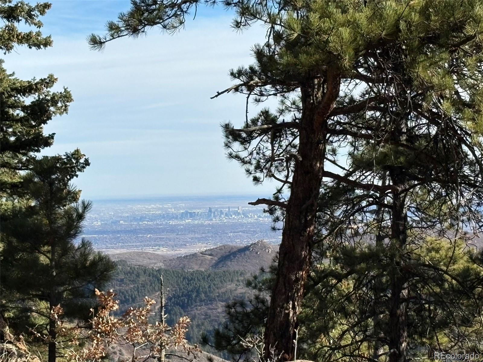 10256 Horizon View Drive