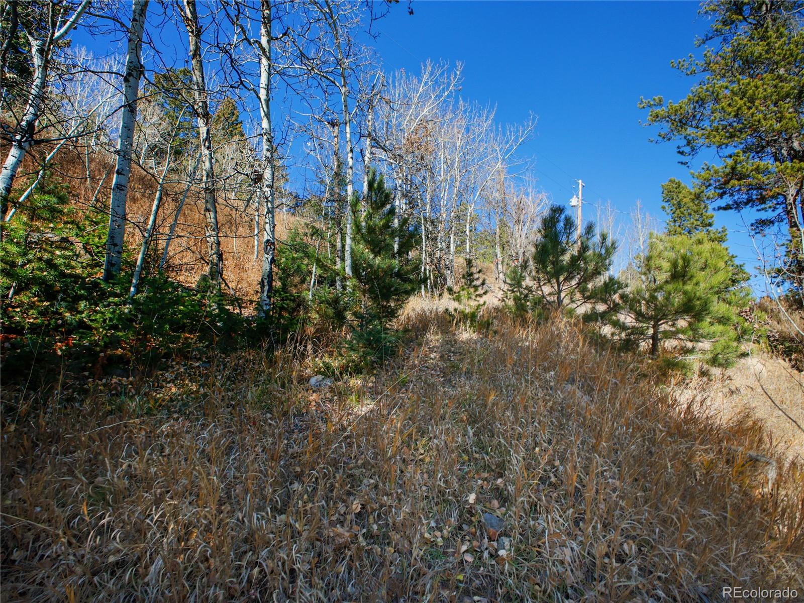 10256 Horizon View Drive