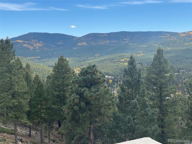 Mountain and forest view above Evergreen, framed by evergreen trees with a roof at the bottom edge.