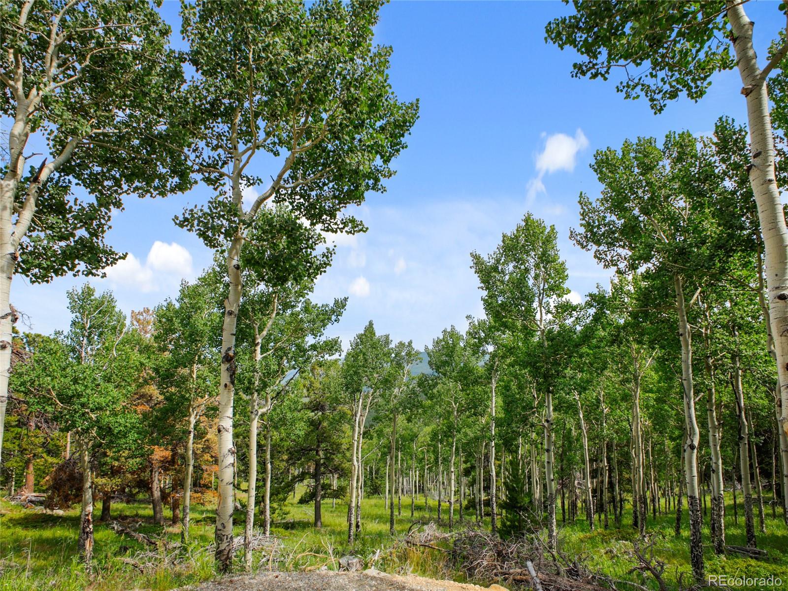 3665 Beaver Brook Canyon Road