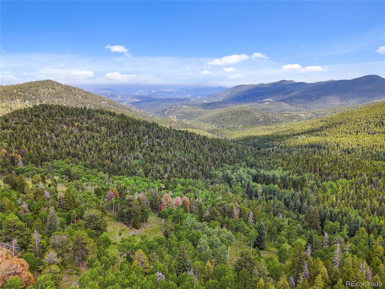 3665 Beaver Brook Canyon Road