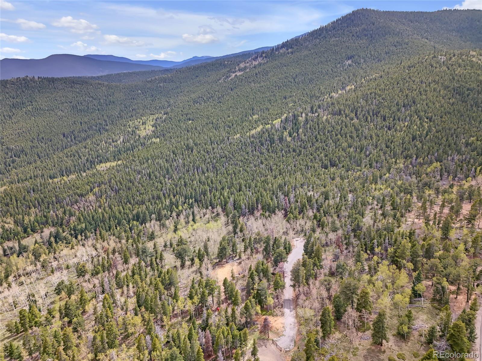 3665 Beaver Brook Canyon Road