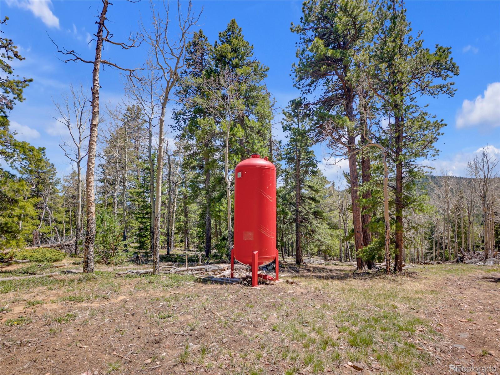 3665 Beaver Brook Canyon Road