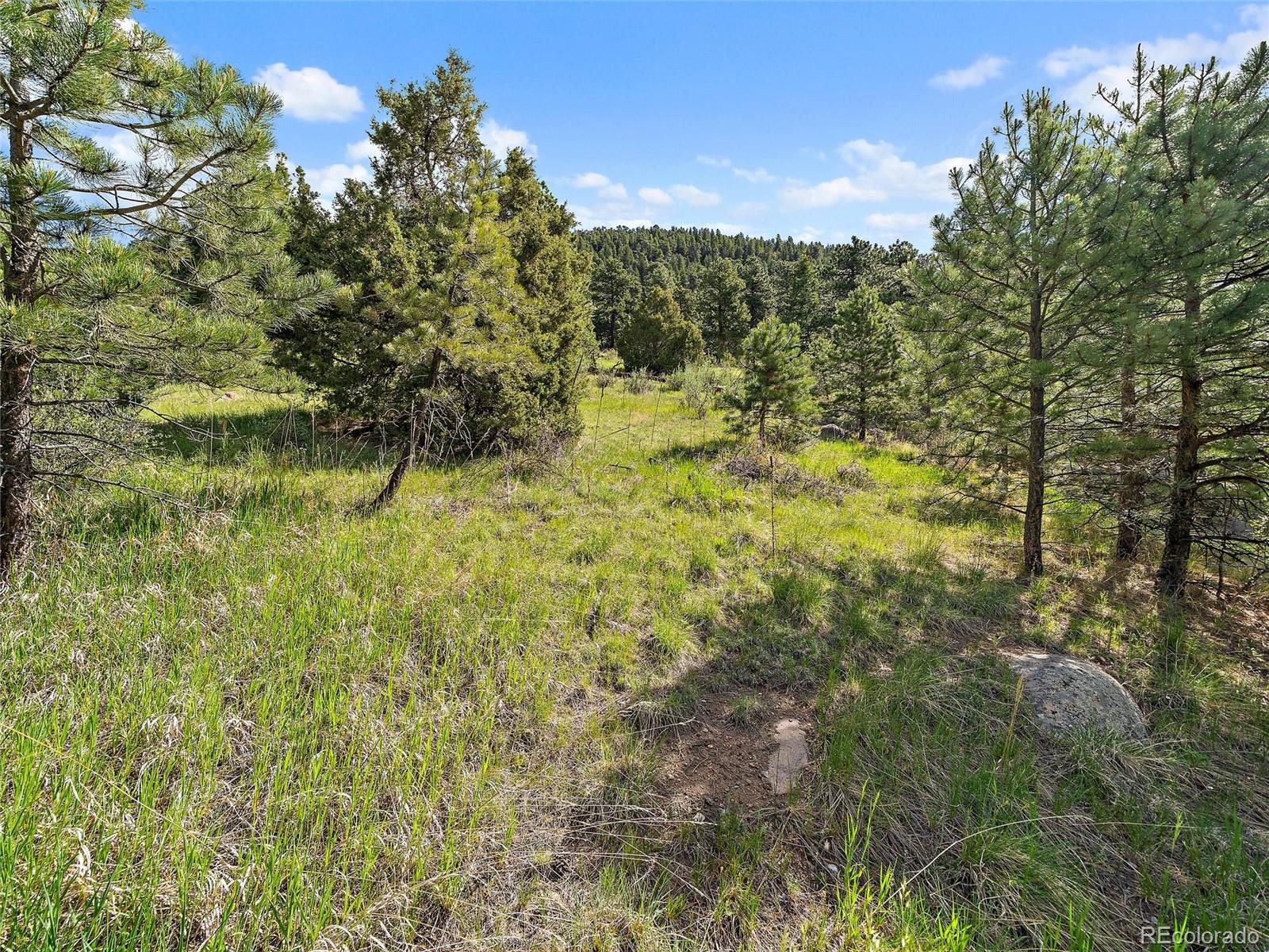 26000 Edelweiss Circle