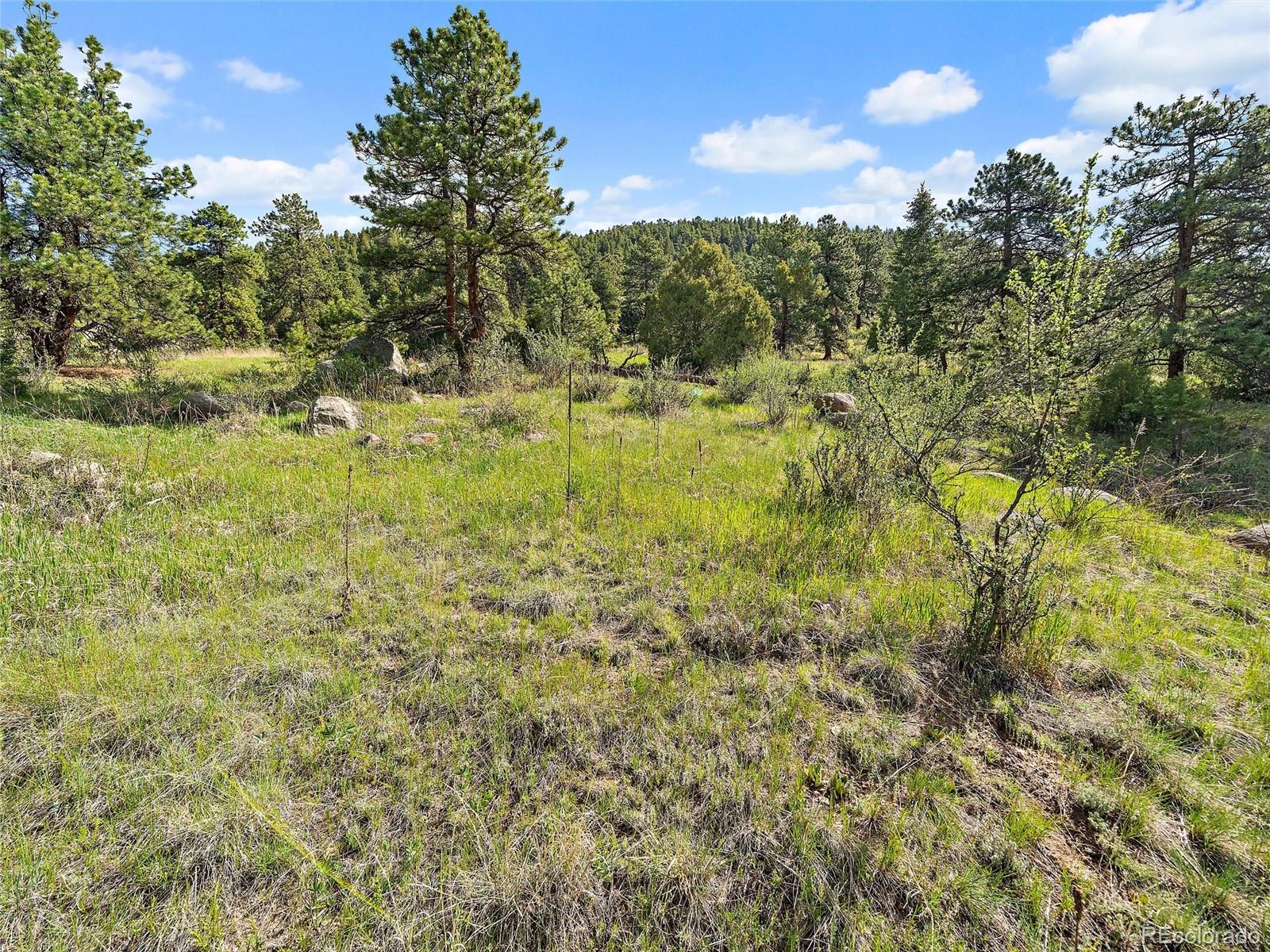 26000 Edelweiss Circle