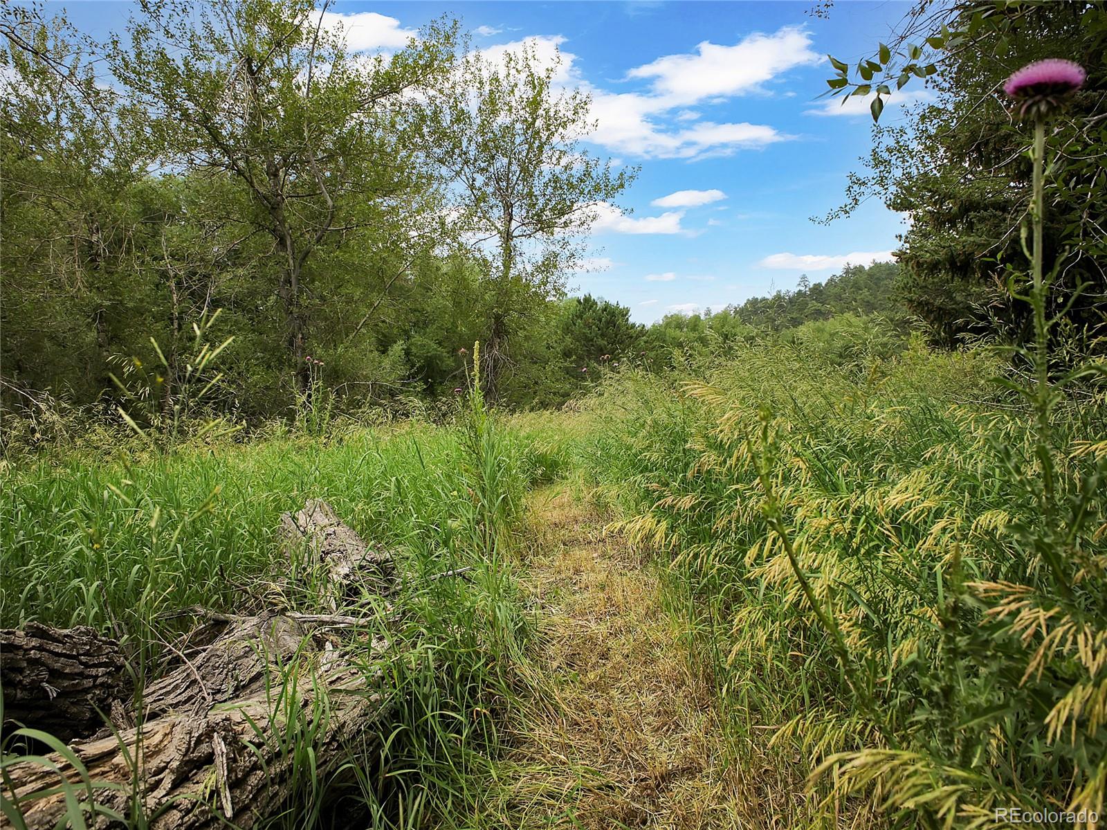 5411 Parmalee Gulch Road