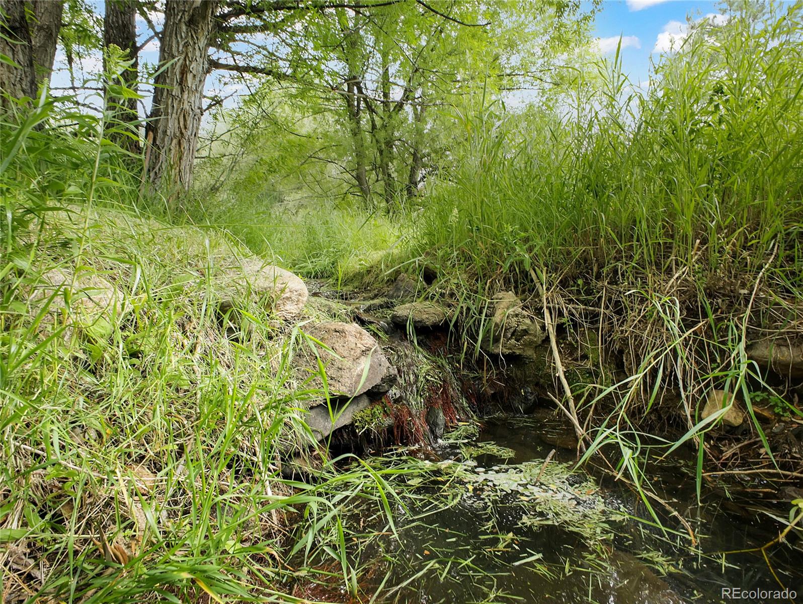 5411 Parmalee Gulch Road