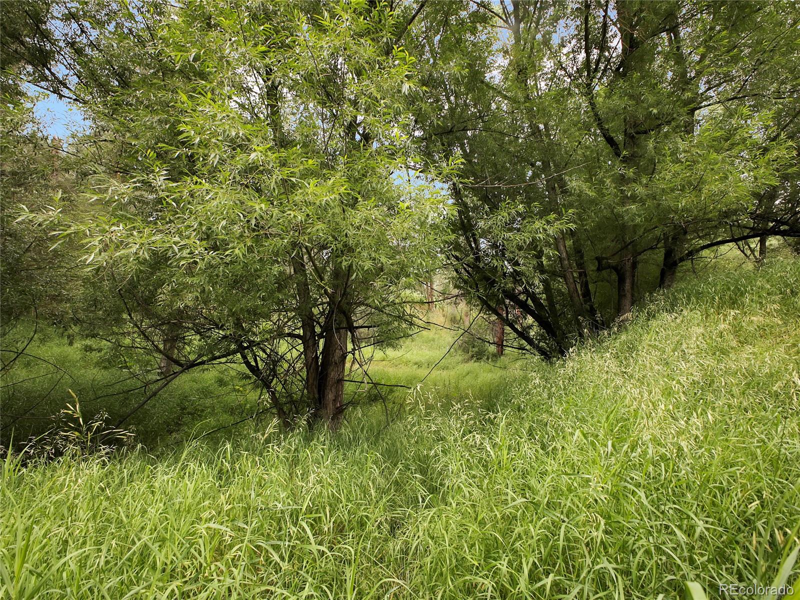 5411 Parmalee Gulch Road