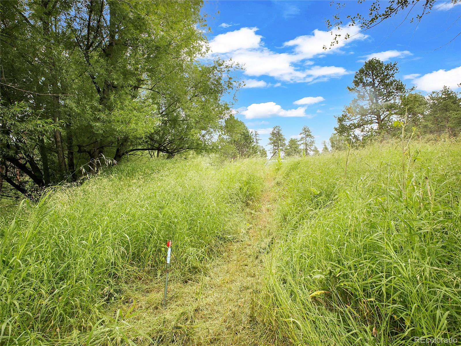 5411 Parmalee Gulch Road