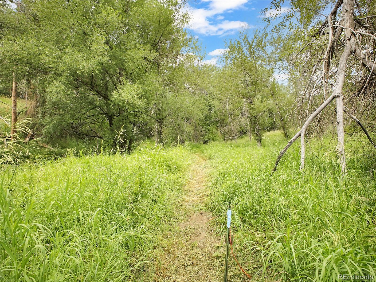 5411 Parmalee Gulch Road