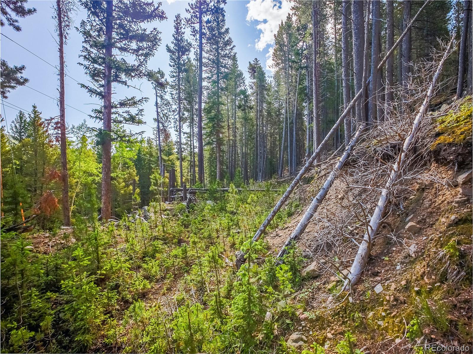 00 Valley View Drive