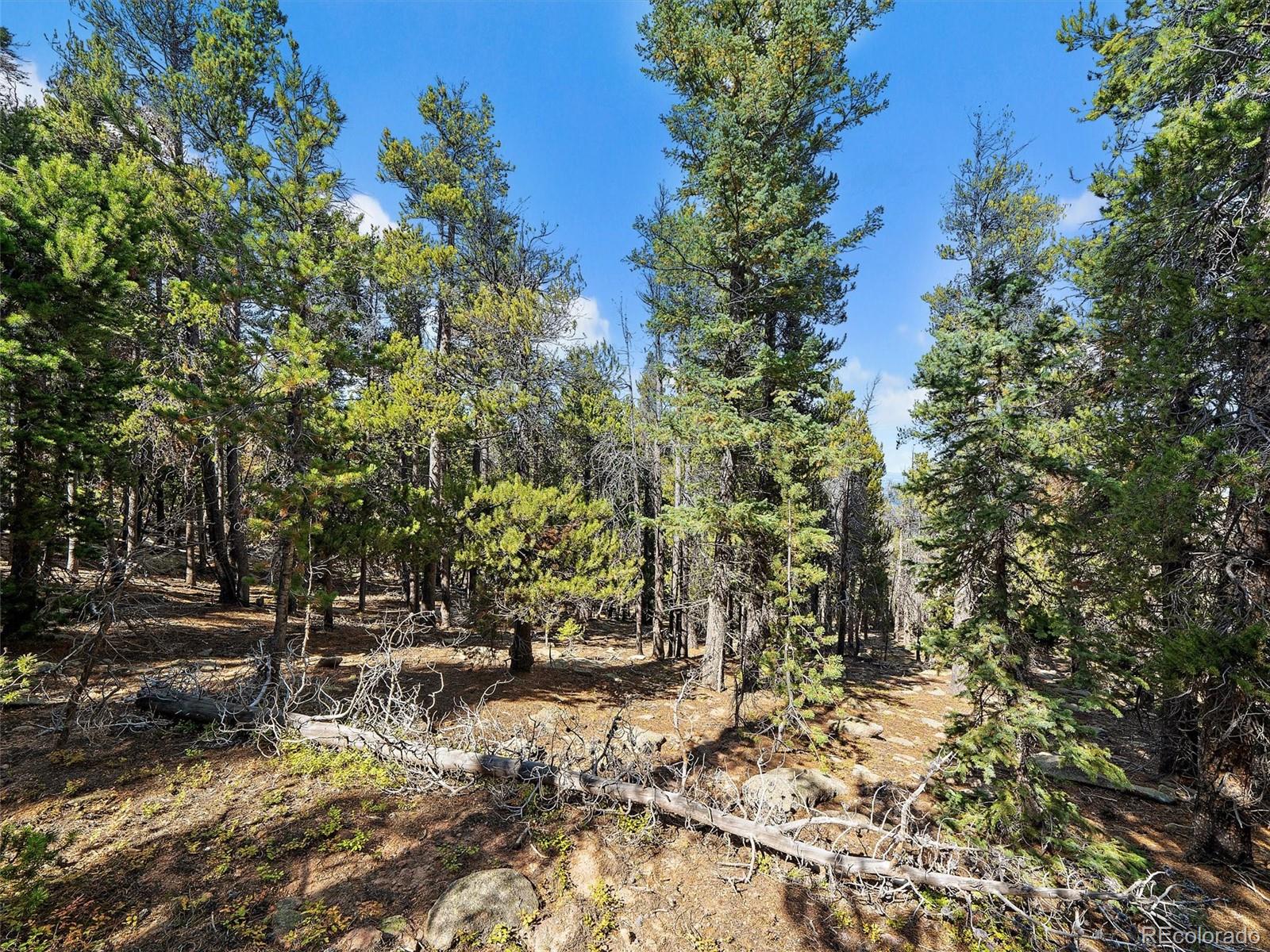 000 Edward Drive