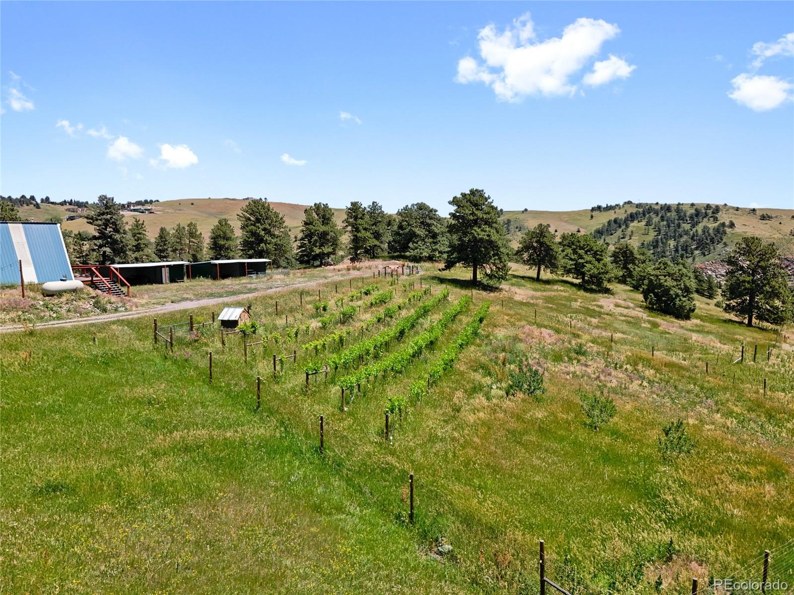 1044 S Grapevine Road