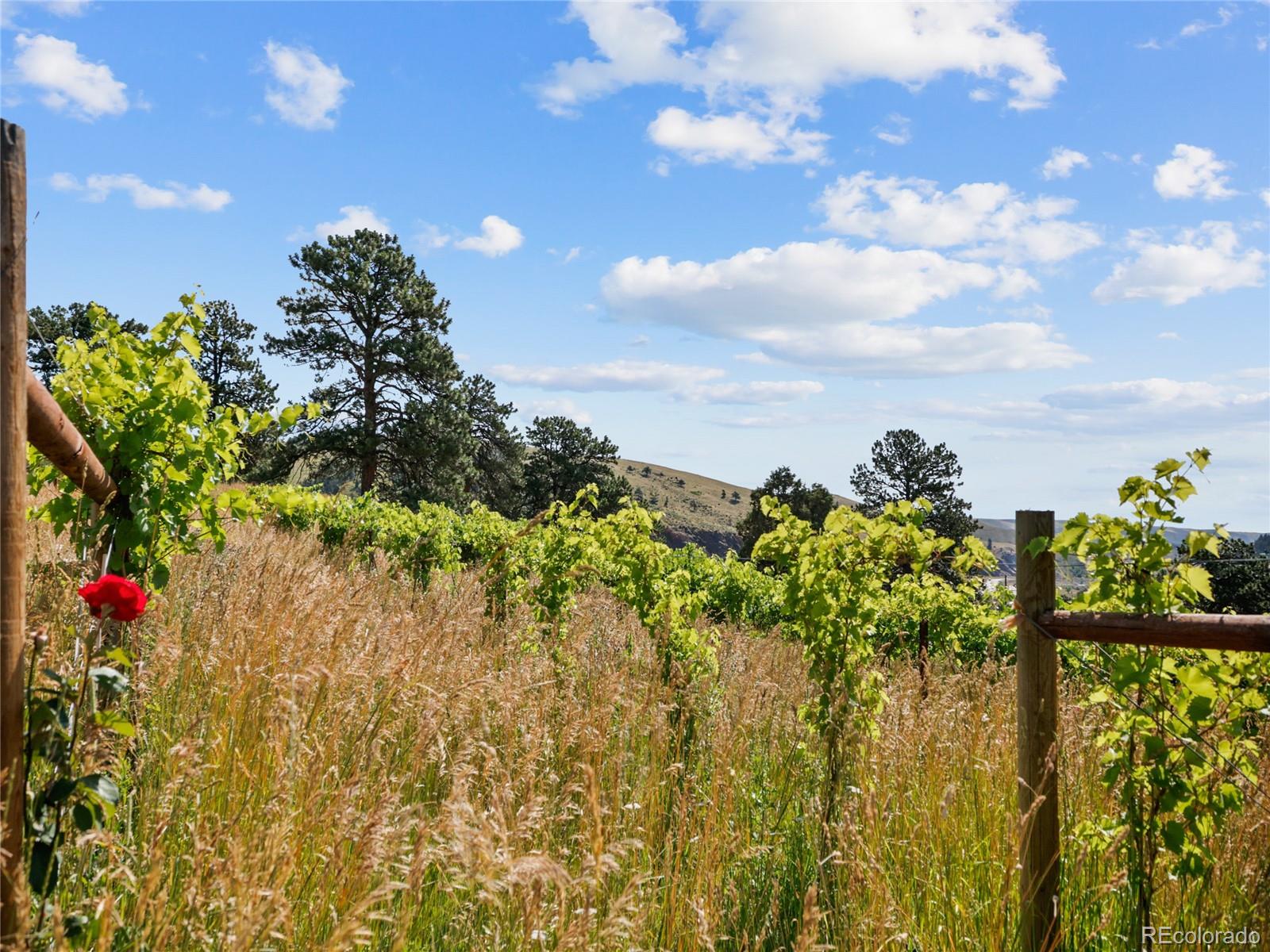 1044 S Grapevine Road