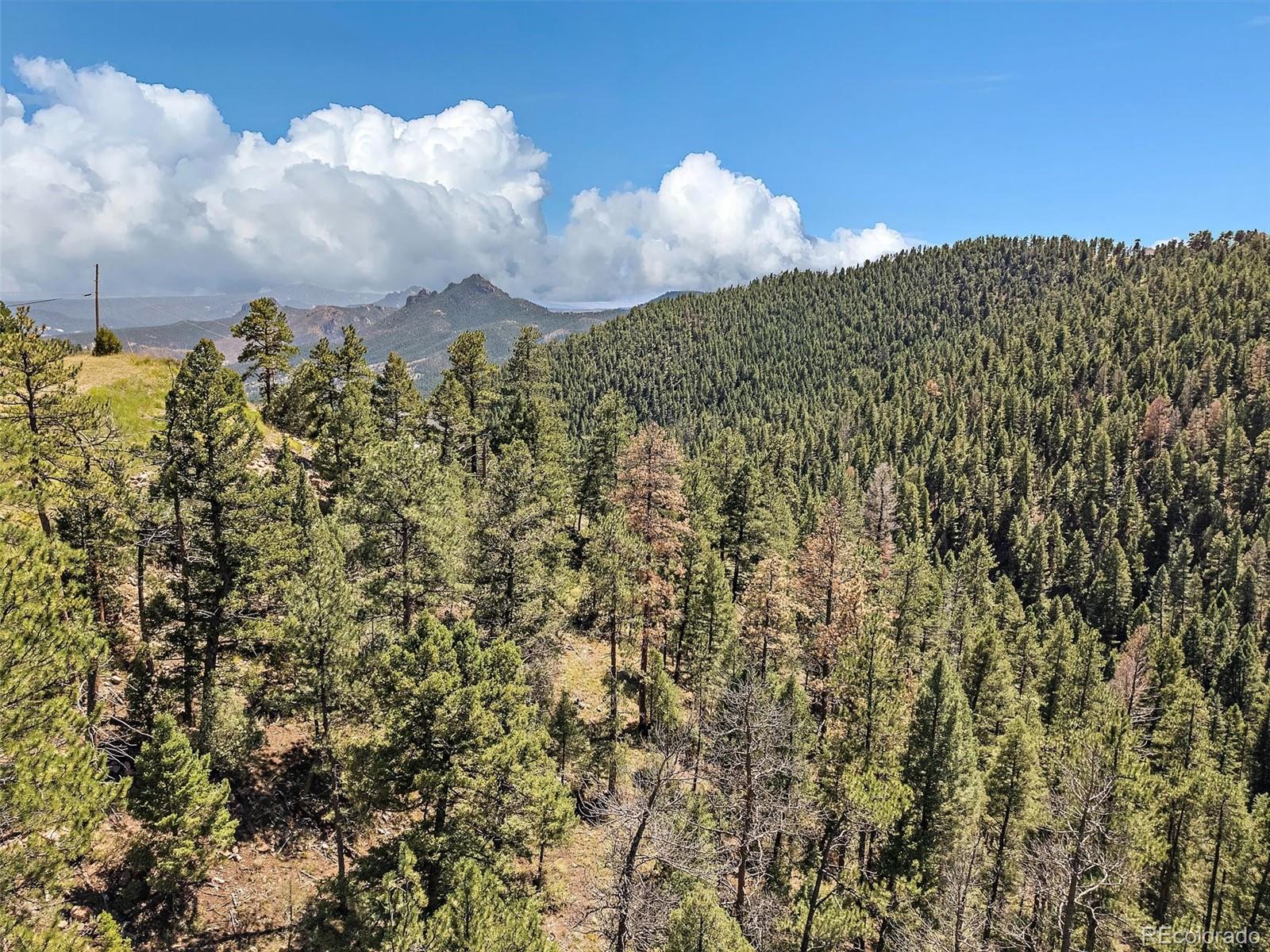 13809 Elsie Road