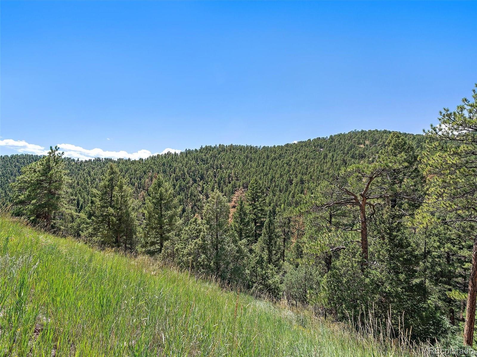 13809 Elsie Road