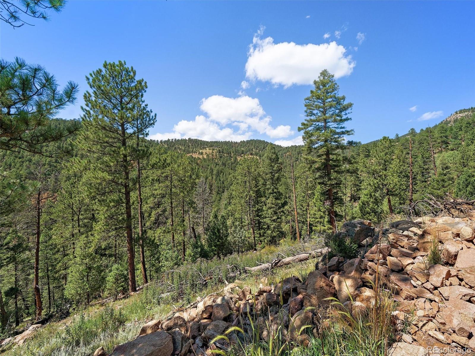 13809 Elsie Road