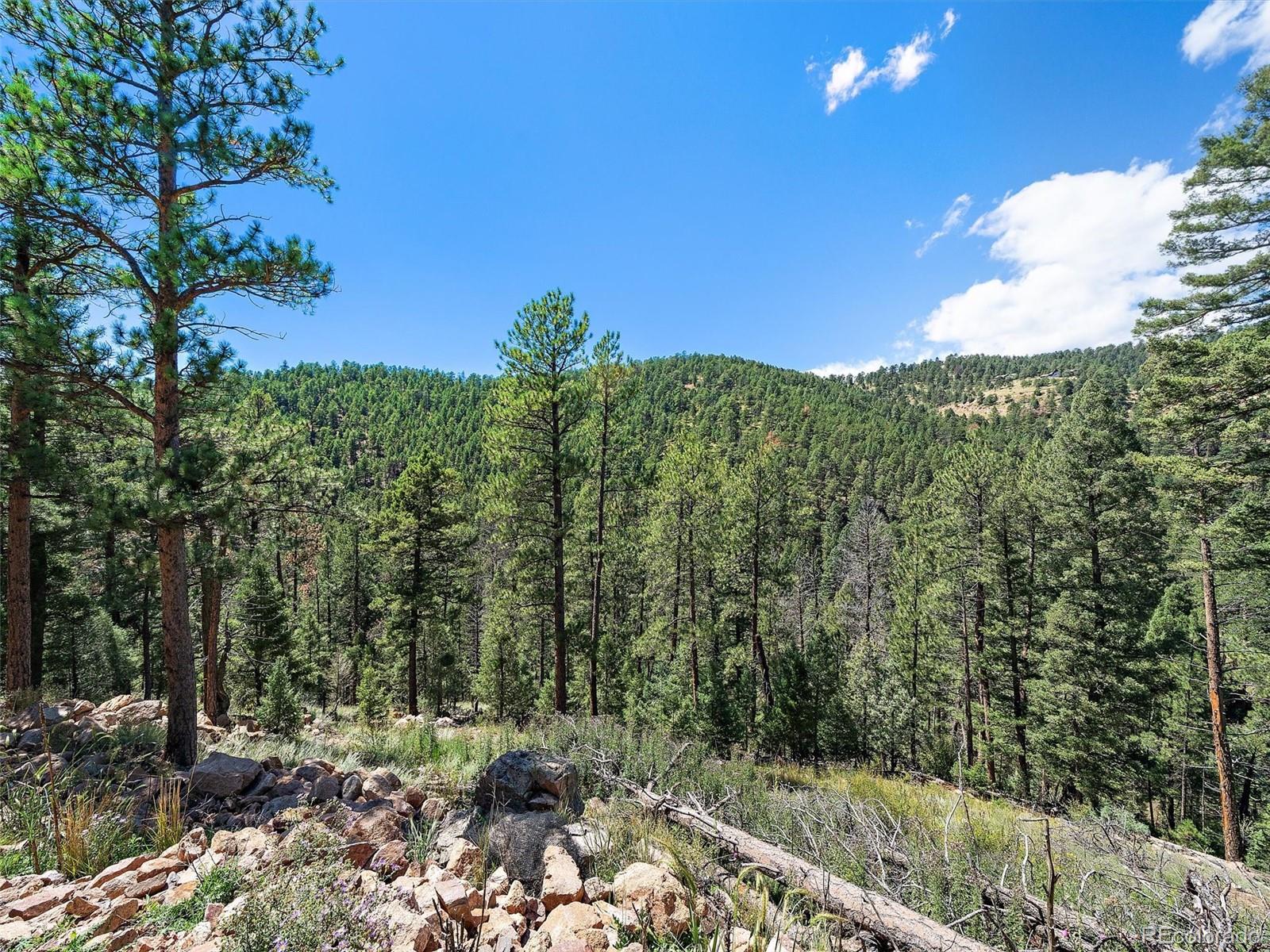 13809 Elsie Road