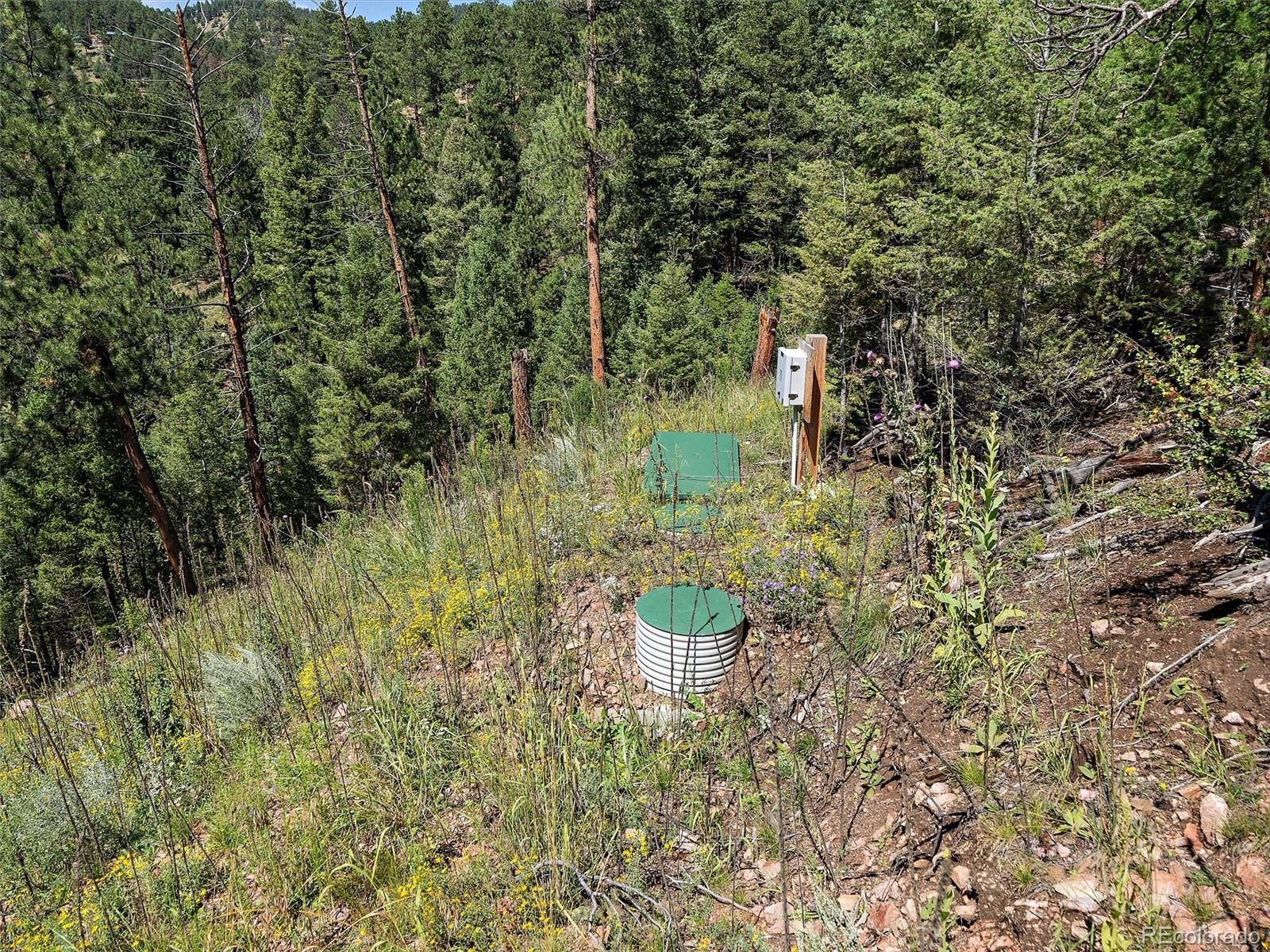 13809 Elsie Road