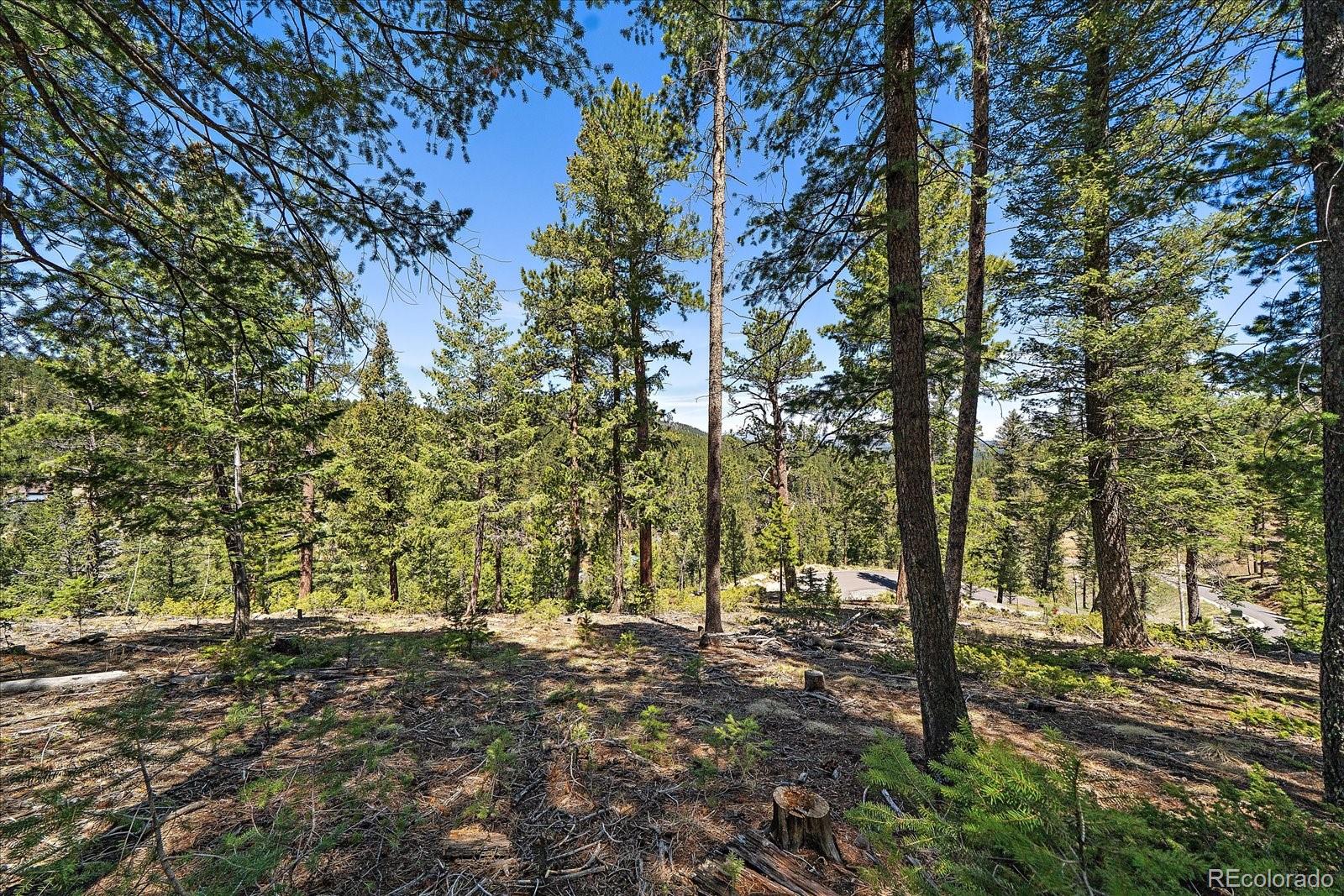 6855 Lynx Lair Road