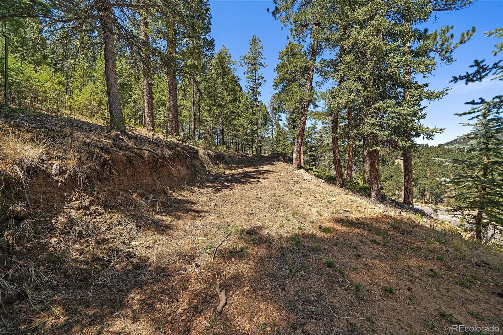 6855 Lynx Lair Road