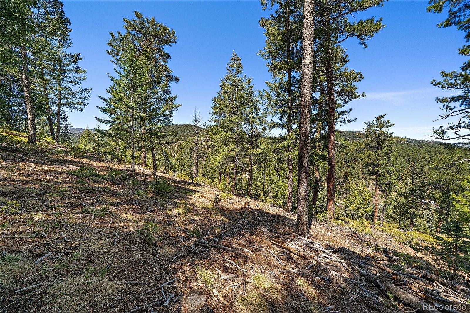 6855 Lynx Lair Road