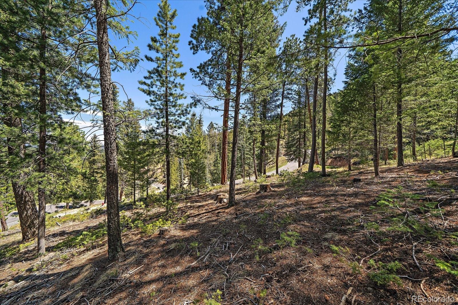 6855 Lynx Lair Road