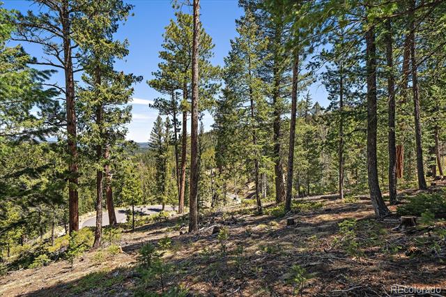 Wooded parcel with tall pines on a slope and a road visible through the trees.