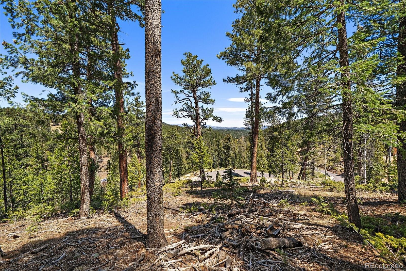 6855 Lynx Lair Road