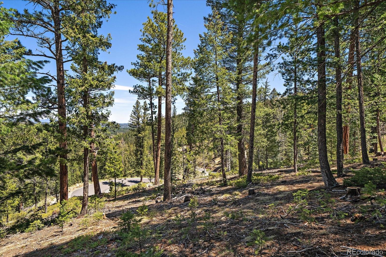 6855 Lynx Lair Road