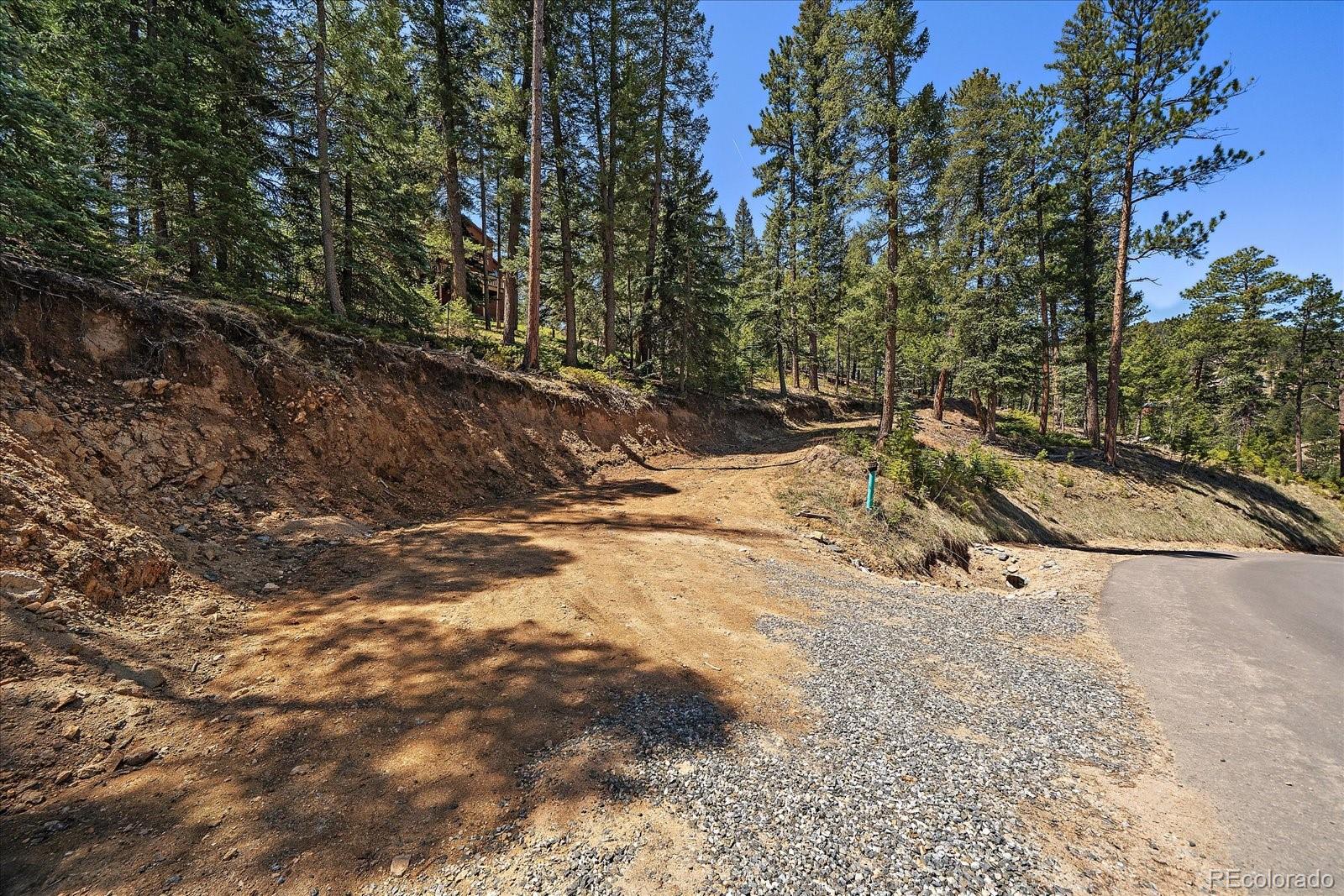 6855 Lynx Lair Road