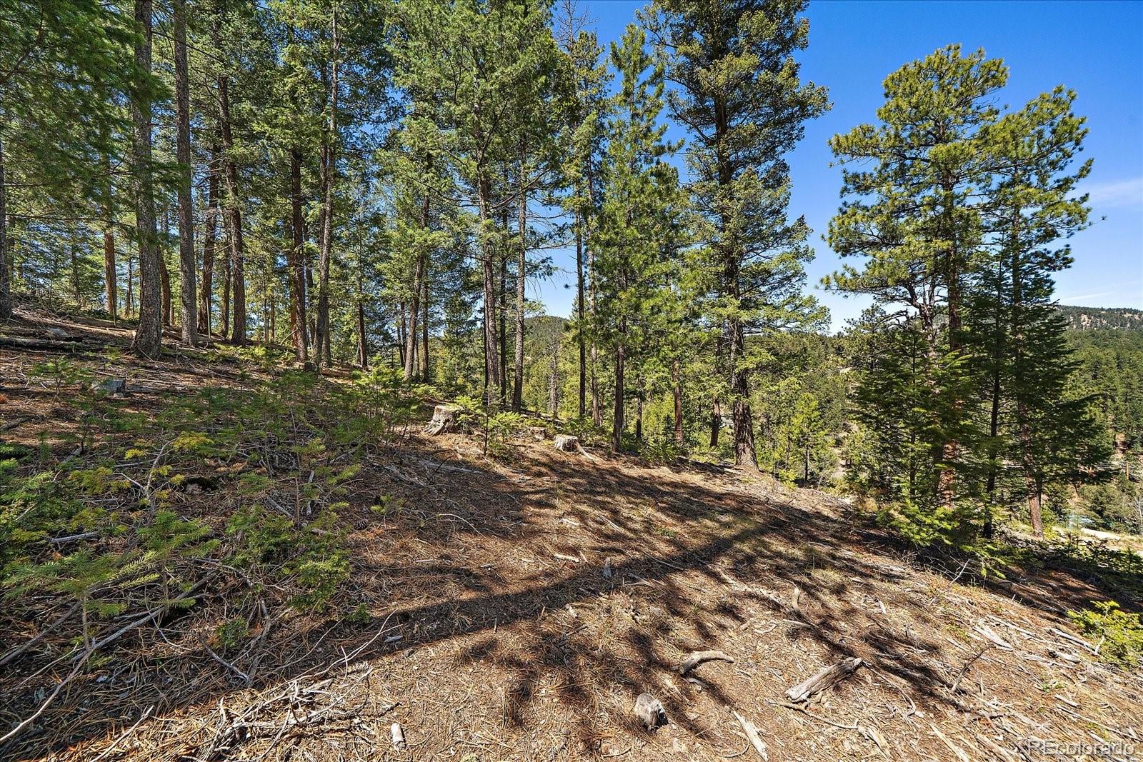 6855 Lynx Lair Road