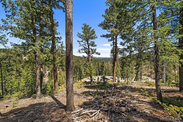 Wooded hillside lot with tall pines, rocky ground, and a distant mountain ridge.