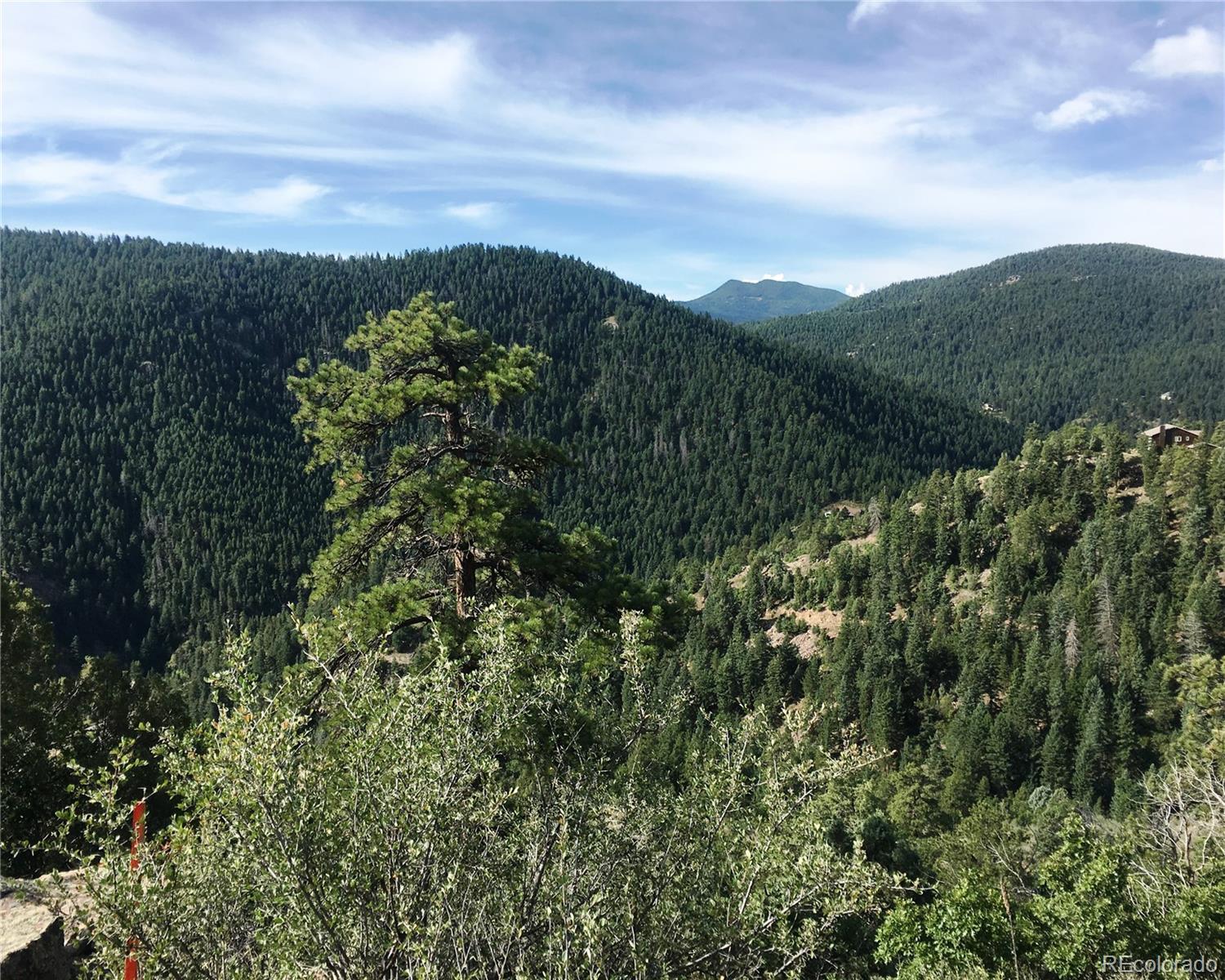 Mountain land overlooking a forested valley, with a pine tree in the foreground.