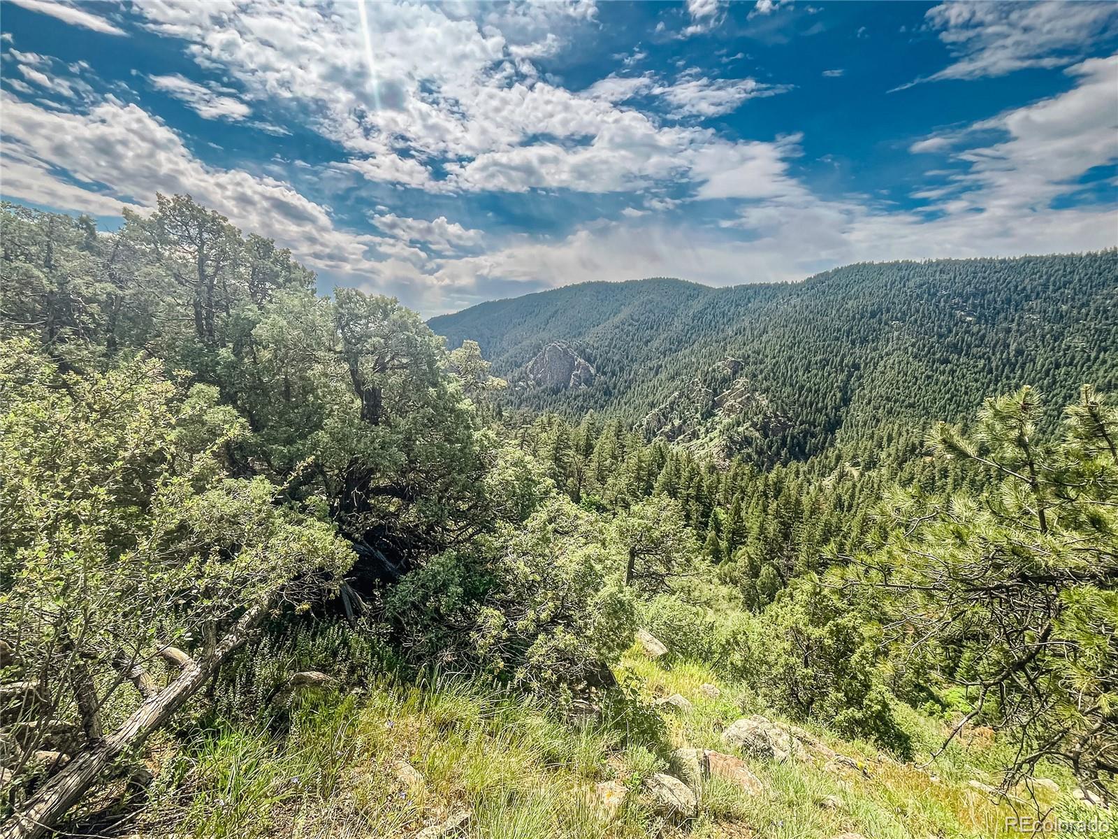 Forested mountain valley with rocky outcrops and pine trees beneath a cloud-filled blue sky.