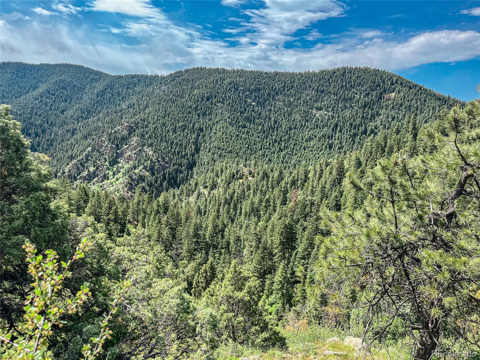 Forested mountain valley with rocky outcrops and pine trees in the foreground.