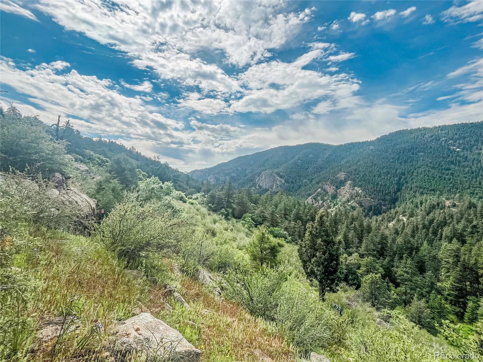 Mountain land with rocky foreground, dense evergreen forest, and a wide valley view.