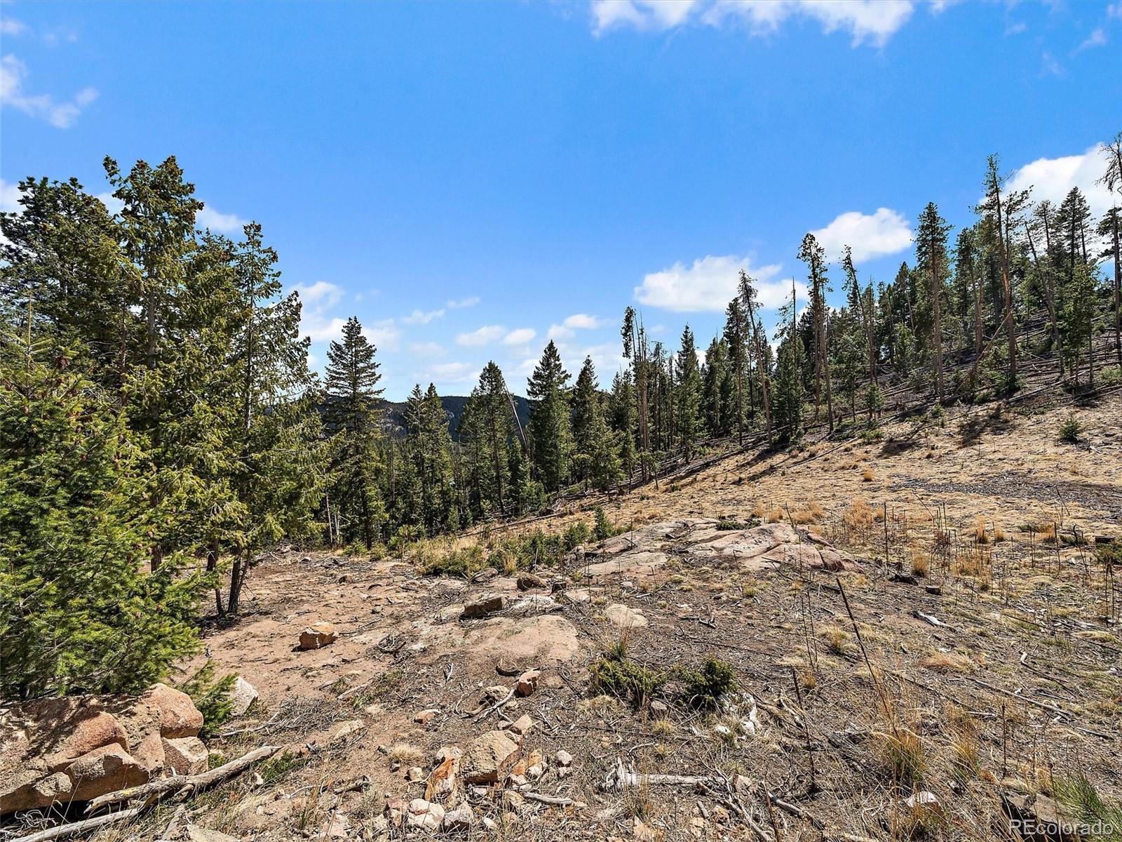 32634 Lodgepole Circle