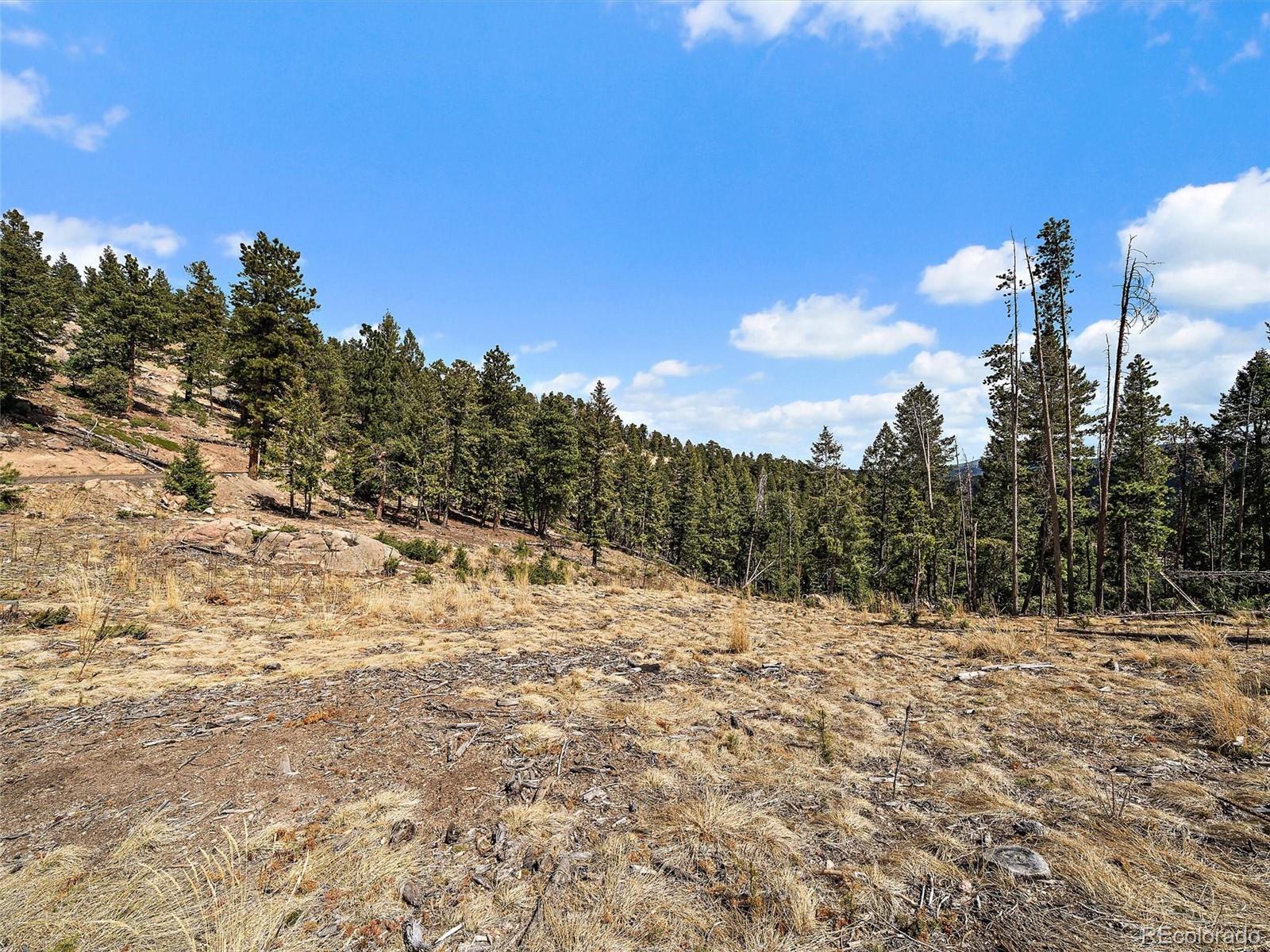 32634 Lodgepole Circle