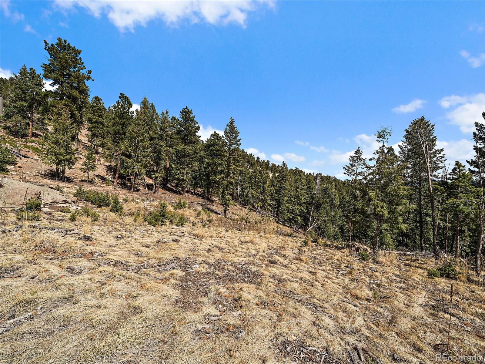 32634 Lodgepole Circle