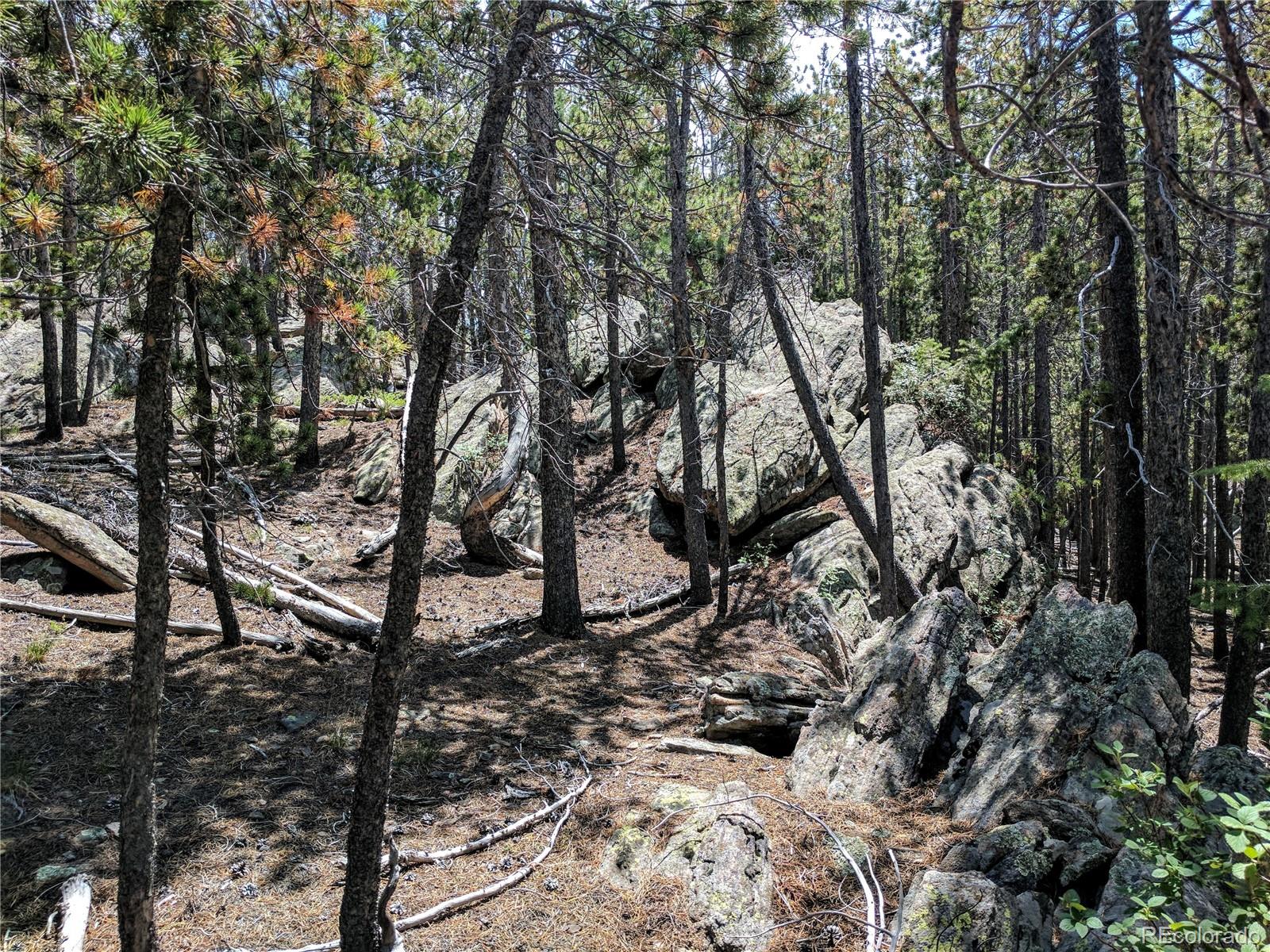 10147 Horizon View Drive