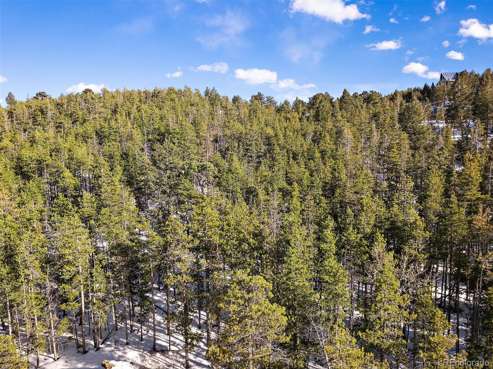 10147 Horizon View Drive