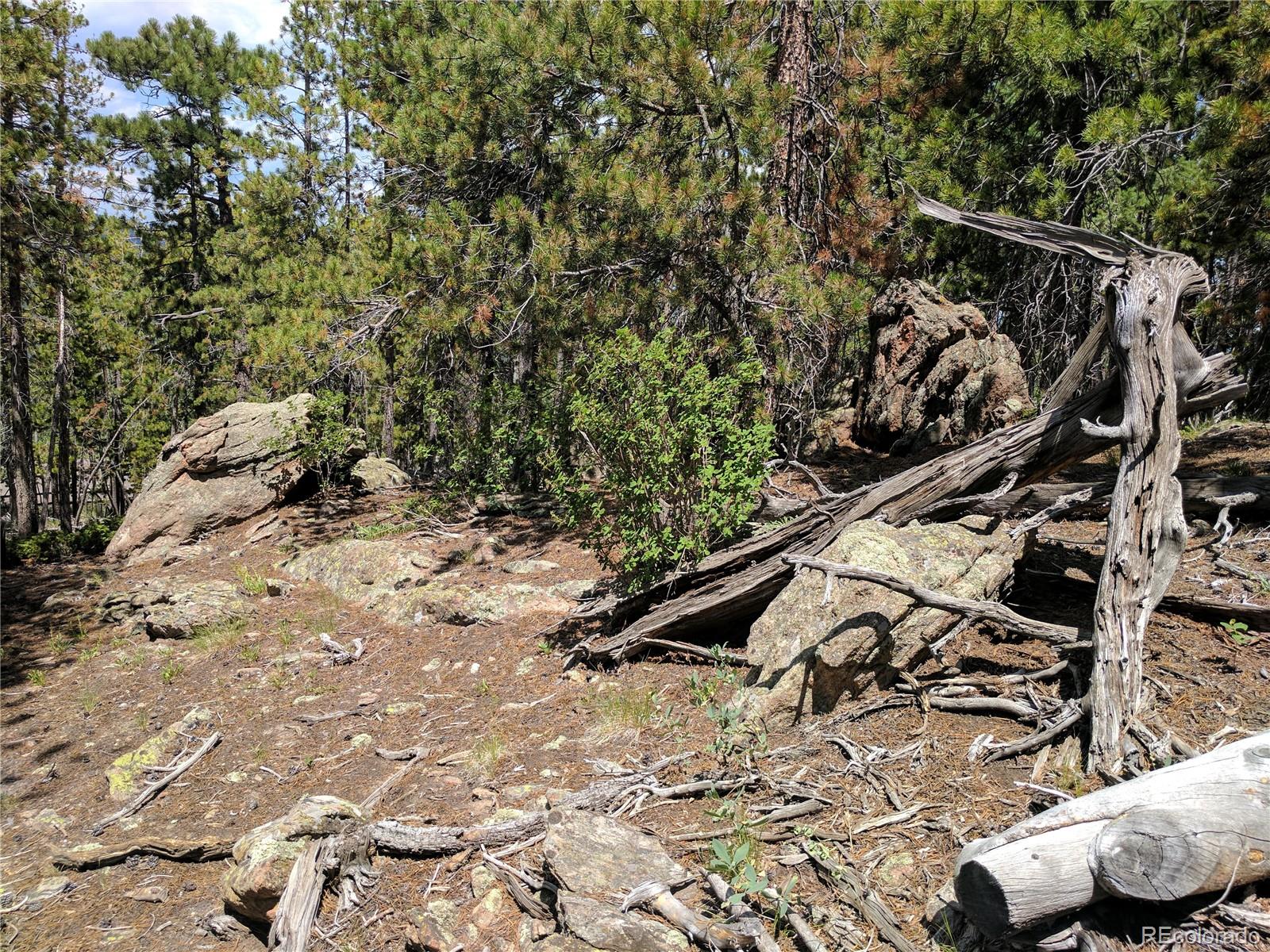 10147 Horizon View Drive