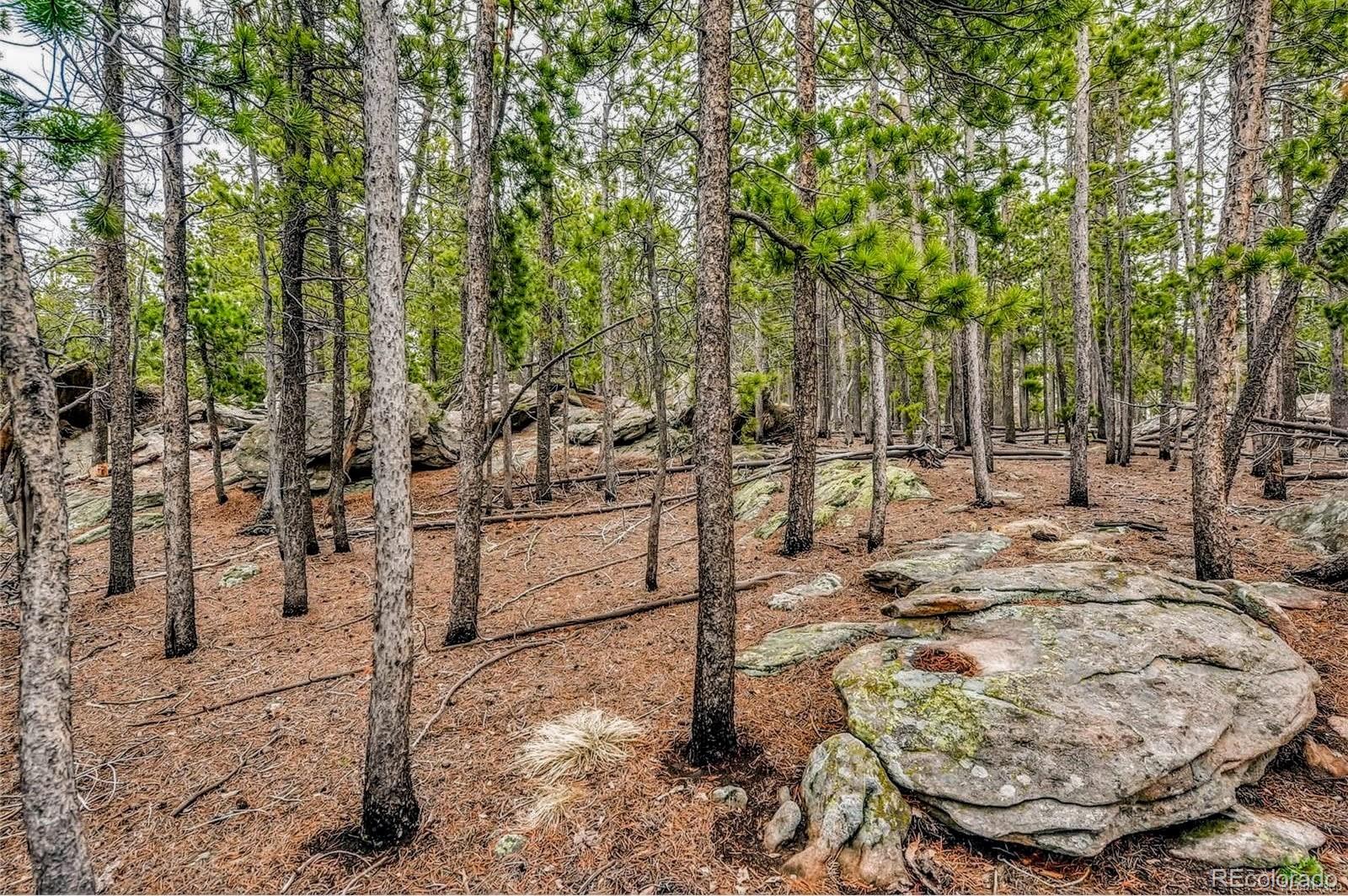 10147 Horizon View Drive