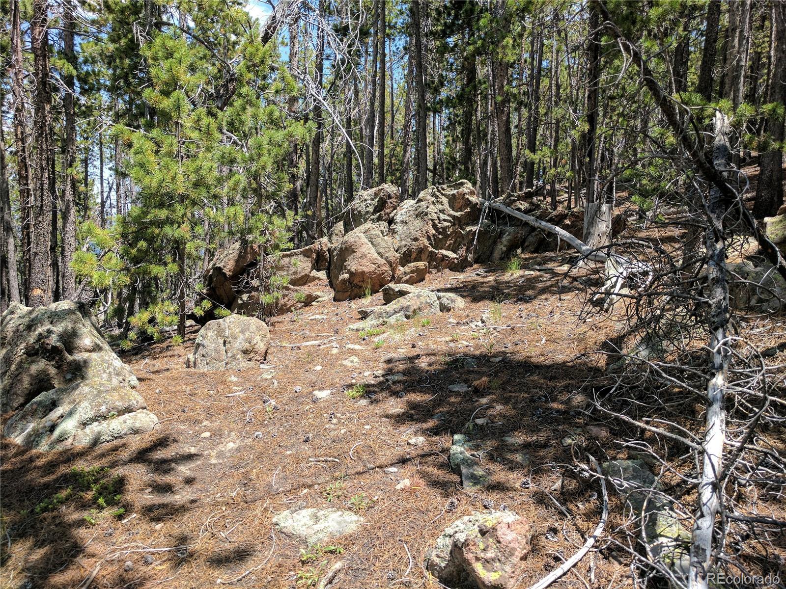 10147 Horizon View Drive