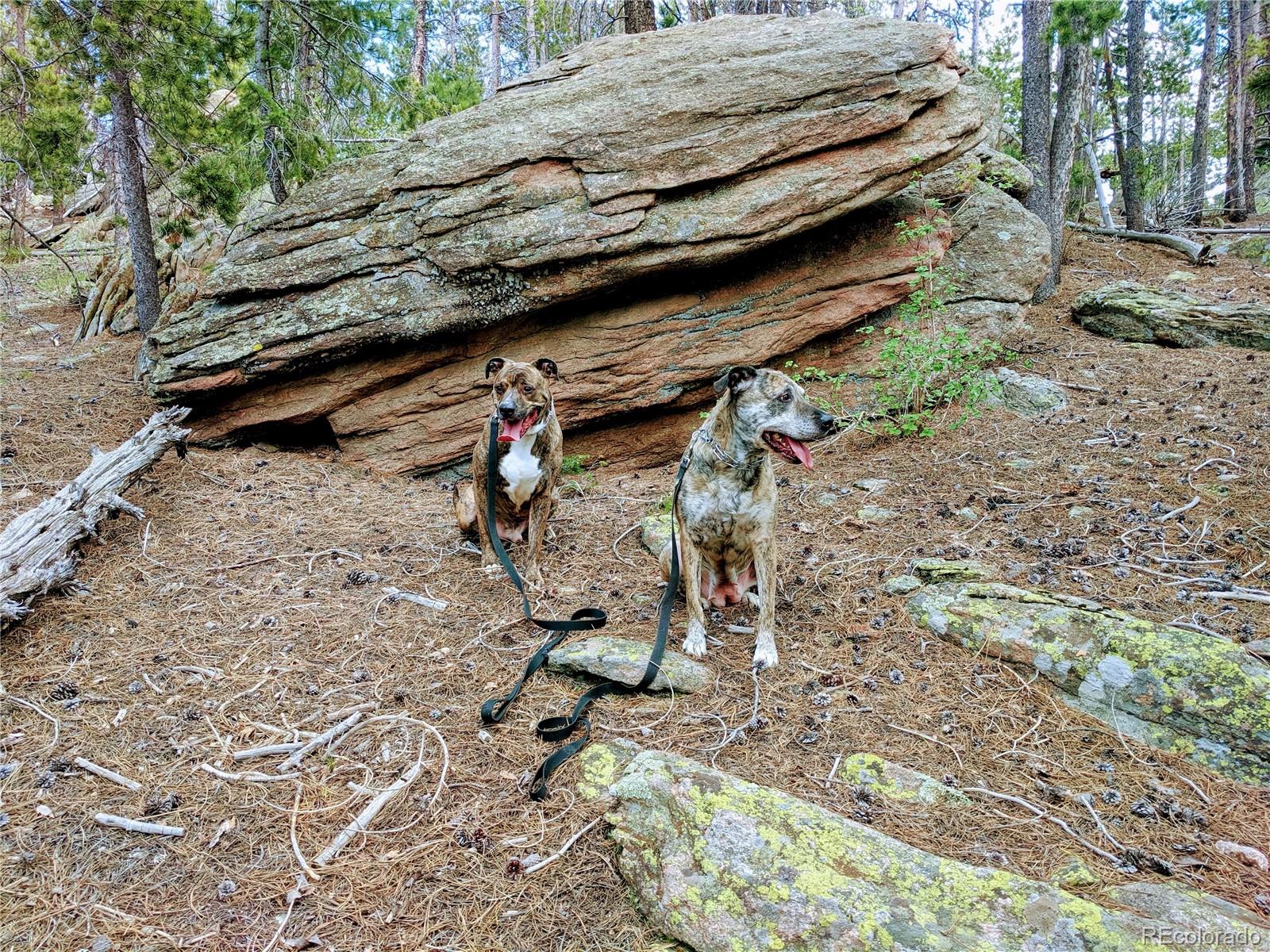 10147 Horizon View Drive