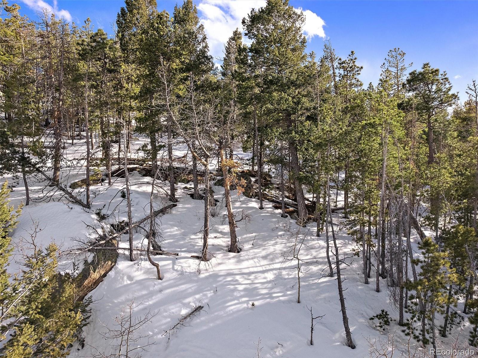 10147 Horizon View Drive