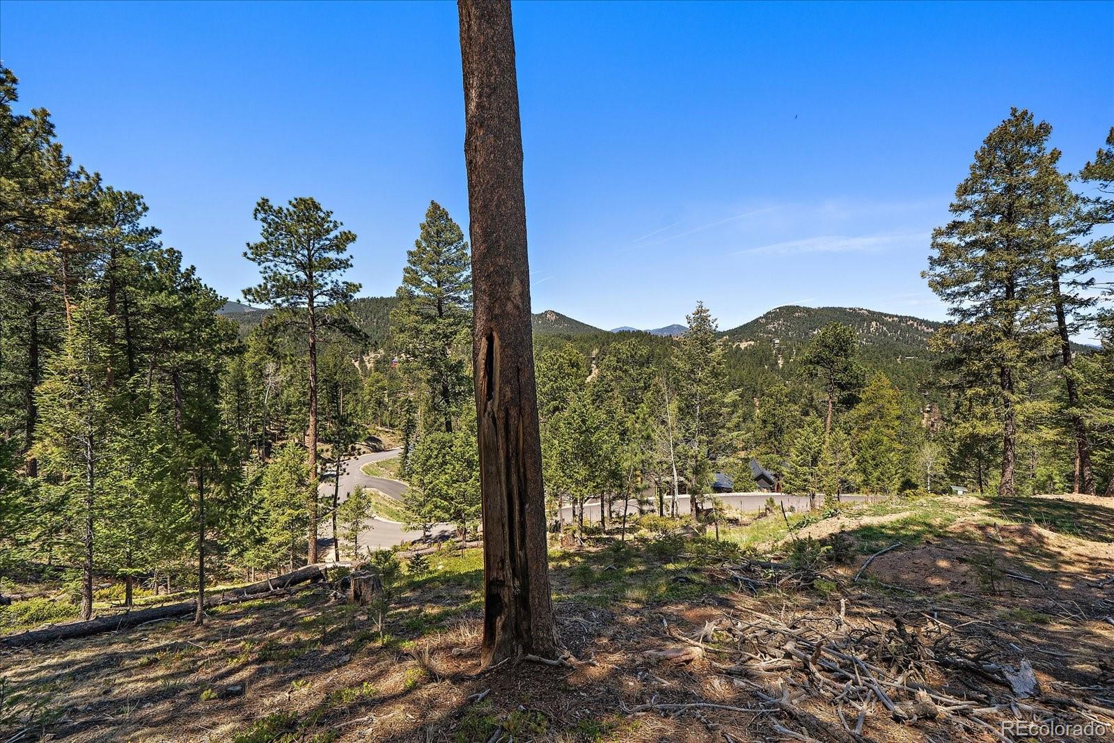 6875 Lynx Lair Road