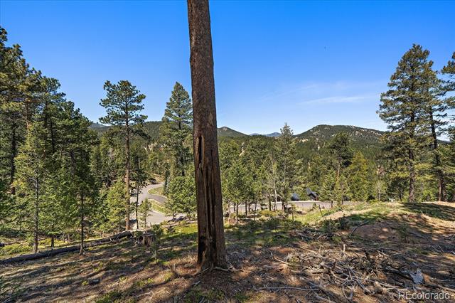 6875 Lynx Lair Road