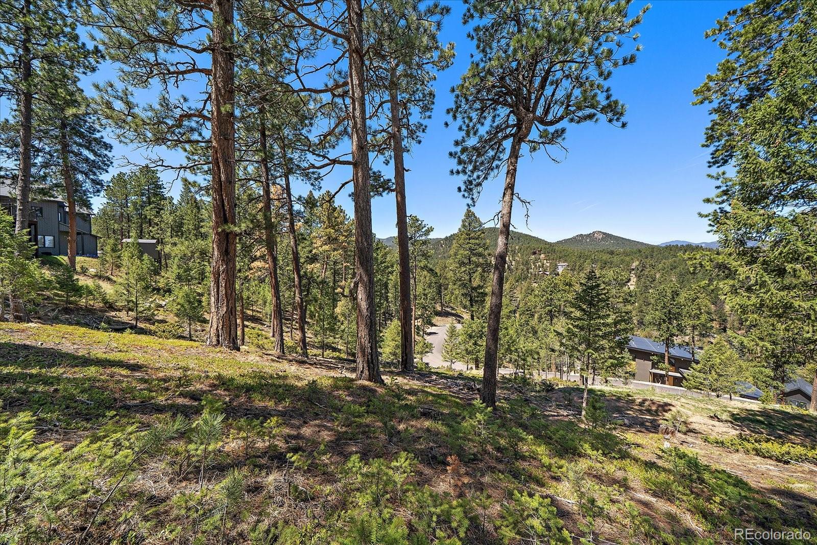 6875 Lynx Lair Road